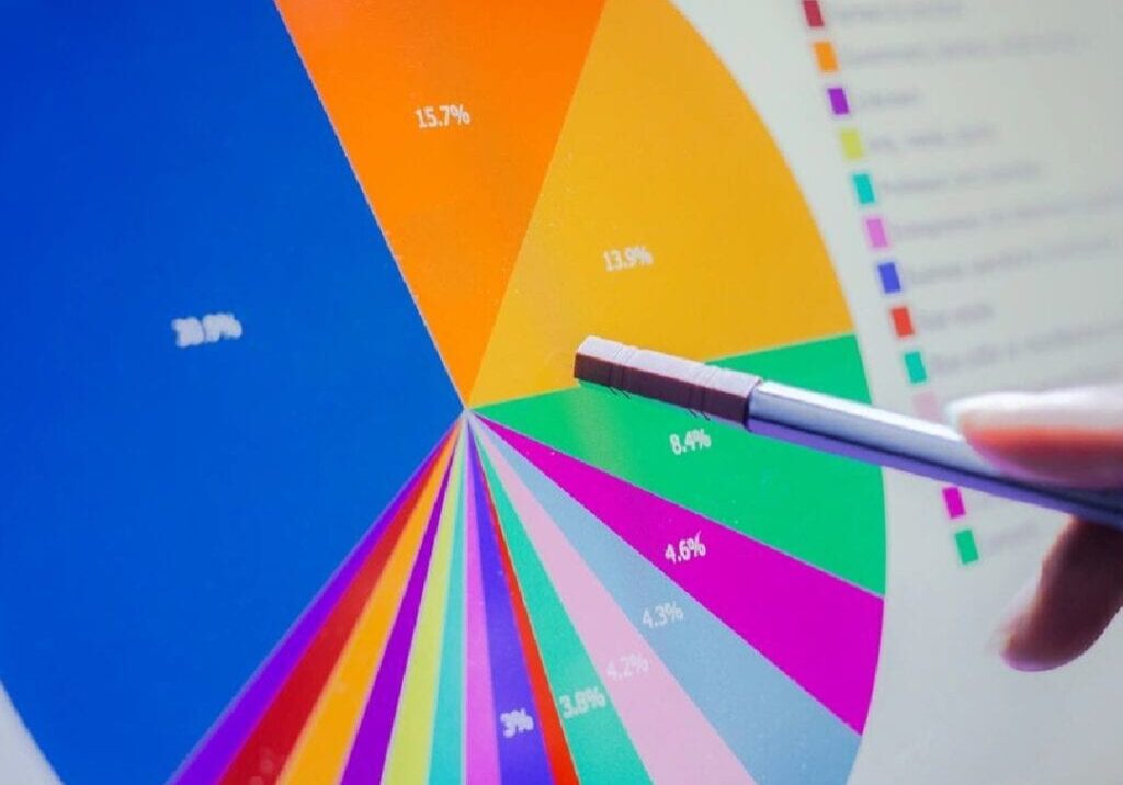 A person is pointing to a pie chart on the screen.